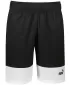 Pantaloni scurți pentru bărbați PUMA POWER COLORBLOCK WOVEN SHORTS 9 848819-01 NEGRU