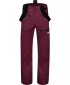 Pantaloni de schi pentru bărbați NORDBLANC SLALOM NBWP7766 BURGUNDIA
