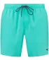 Pantaloni scurți pentru bărbați PUMA SWIM MEN MEDIUM LENGTH SWIM SHORTS 1P 907660-19 VERDE