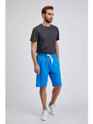 Pantaloni scurți pentru bărbați SAM 73 EUKLAS MS 806 ALBASTRU STRĂLUCITOR