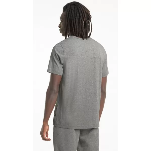  Tricou pentru bărbați PUMA ESS+ 2 COL LOGO TEE 586759-03 GRI 