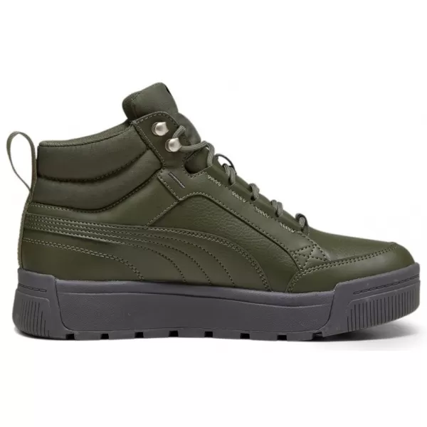  Pantofi pentru bărbați PUMA TARRENZ SB III PURETEX 393930-03 VERDE 