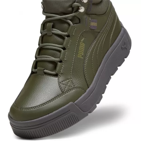  Pantofi pentru bărbați PUMA TARRENZ SB III PURETEX 393930-03 VERDE 
