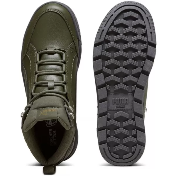  Pantofi pentru bărbați PUMA TARRENZ SB III PURETEX 393930-03 VERDE 
