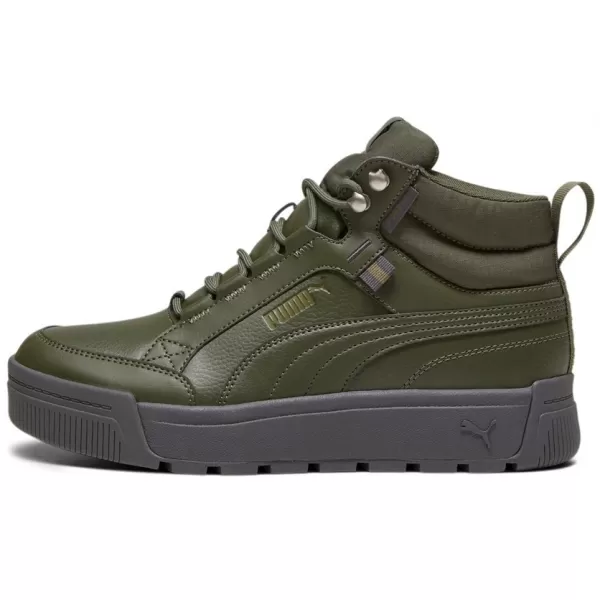  Pantofi pentru bărbați PUMA TARRENZ SB III PURETEX 393930-03 VERDE 