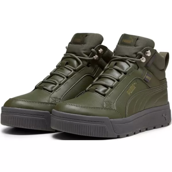  Pantofi pentru bărbați PUMA TARRENZ SB III PURETEX 393930-03 VERDE 