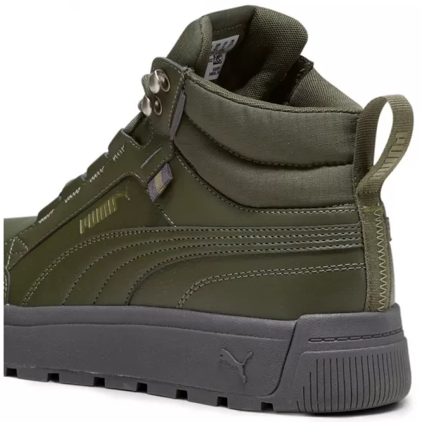  Pantofi pentru bărbați PUMA TARRENZ SB III PURETEX 393930-03 VERDE 