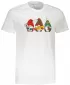 Tricou pentru bărbați ALTISPORT VANOCE04M129 ALB