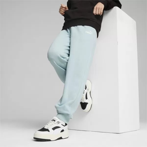  Pantaloni de dama PUMA ESS+ SMALL LOGO HW PANTS TR 678744-22 ALBASTRU 