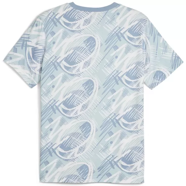  Tricou pentru bărbați PUMA POWER AOP TEE 678938-20 ALBASTRU 
