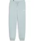 Pantaloni de dama PUMA ESS+ SMALL LOGO HW PANTS TR 678744-22 ALBASTRU