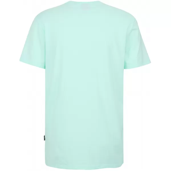  Tricou pentru bărbați SAM 73 FELIPE MT 843 MENTĂ 