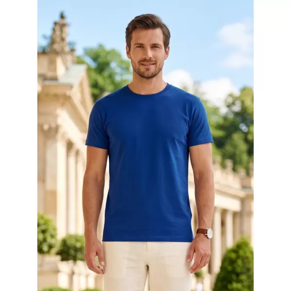  Tricou pentru bărbați ALTISPORT NoPrint NP/ALM921 ALBASTRU REGAL 
