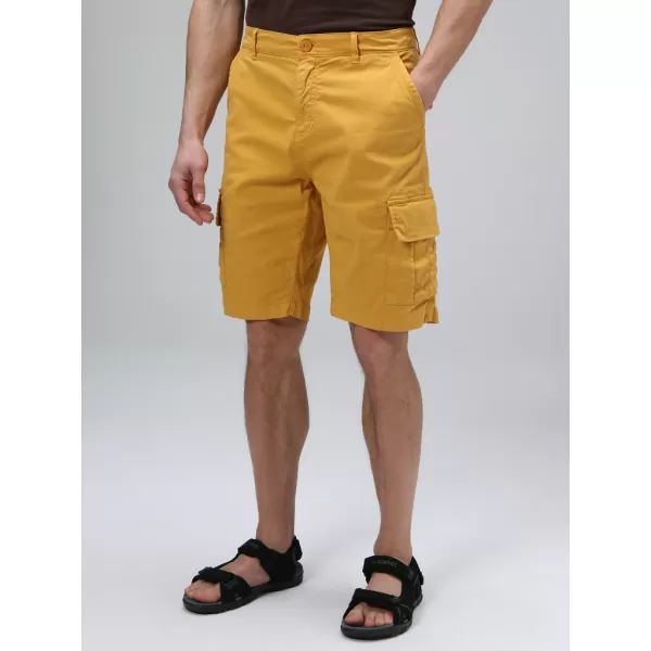  Pantaloni scurți pentru bărbați LOAP VANAS CLM2435 CHIHLIMBAR 