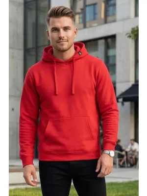 Hanorac pentru bărbați ALTISPORT NoPrint NP/ALM679NJ ED