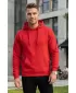 Hanorac pentru bărbați ALTISPORT NoPrint NP/ALM679NJ ED