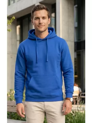 Hanorac pentru bărbați ALTISPORT NoPrint NP/ALM679NJ REGAL