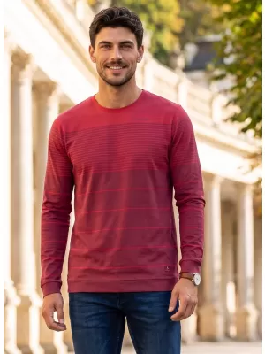 Tricou pentru bărbați ALTISPORT DAIRUS BURGUNDIA