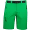 Pantaloni scurți pentru bărbați ALTISPORT NoPrint NP/ALM4021NJ VERDE FERIGA