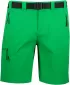Pantaloni scurți pentru bărbați ALTISPORT NoPrint NP/ALM4021NJ VERDE FERIGA