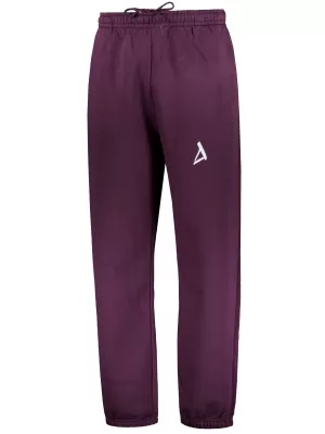 Piese pentru bărbați ALTISPORT BYB/ALM002BY286 BURGUNDIA