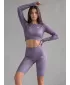 Top funcțional pentru femei cu mâneci lungi premium ALTISPORT VOJ/ALW072TR04 VIOLET