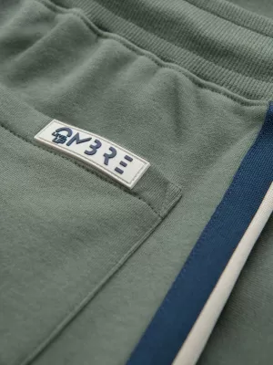Pantaloni scurți pentru bărbați OMBRE OM-SRSK-0156 MĂSLIN