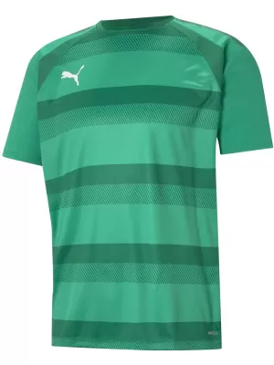 Cămașa funcțională a bărbaților PUMA TEAMVISION JERSEY 704921_05 PEPPERGREEN/POWERGREEN/WHITE
