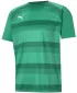 Cămașa funcțională a bărbaților PUMA TEAMVISION JERSEY 704921_05 PEPPERGREEN/POWERGREEN/WHITE