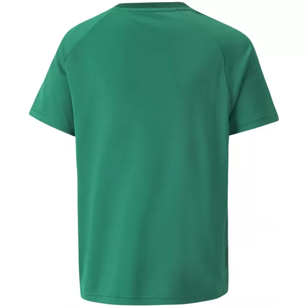  Tricou pentru copii PUMA TEAMVISION JERSEY JR 704928_05 PEPPERGREEN/POWERGREEN/WHITE 