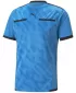 Jersey de fotbal PUMA TEAMLIGA REFEREE JERSEY 705452_18 BLEU AZUR/ BLEU AZUR/PUMA BLACK