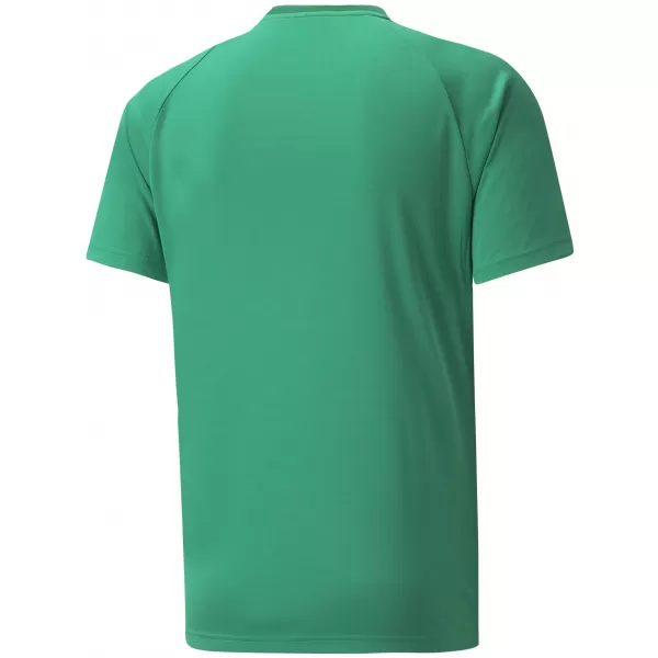  Cămașa funcțională a bărbaților PUMA TEAMVISION JERSEY 704921_05 PEPPERGREEN/POWERGREEN/WHITE 