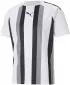Cămașa funcțională a bărbaților PUMA TEAMLIGA STRIPED JERSEY 704920_04 PUMA WHITE/PUMA BLACK