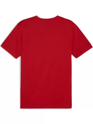 Cămașa funcțională a bărbaților PUMA TEAMFINAL TRAINING JERSEY 658557_01 PUMA RED/PUMA SILVER