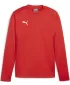 Panoul pentru bărbați PUMA TEAMGOAL TRAINING SWEAT 658649_01 PUMA RED/PUMA WHITE/RED FAST