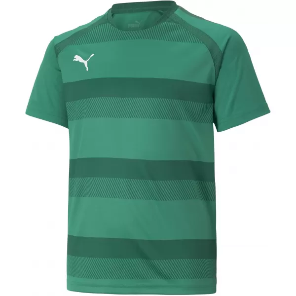  Tricou pentru copii PUMA TEAMVISION JERSEY JR 704928_05 PEPPERGREEN/POWERGREEN/WHITE 