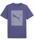 Tricou bărbătesc PUMA GRAPHICS WORDING TEE 684825_46 CRISTAL ALBASTRU