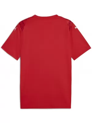 Jersey pentru bărbați PUMA TEAMULTIMATE JERSEY 706280_01 PUMA RED/PUMA WHITE
