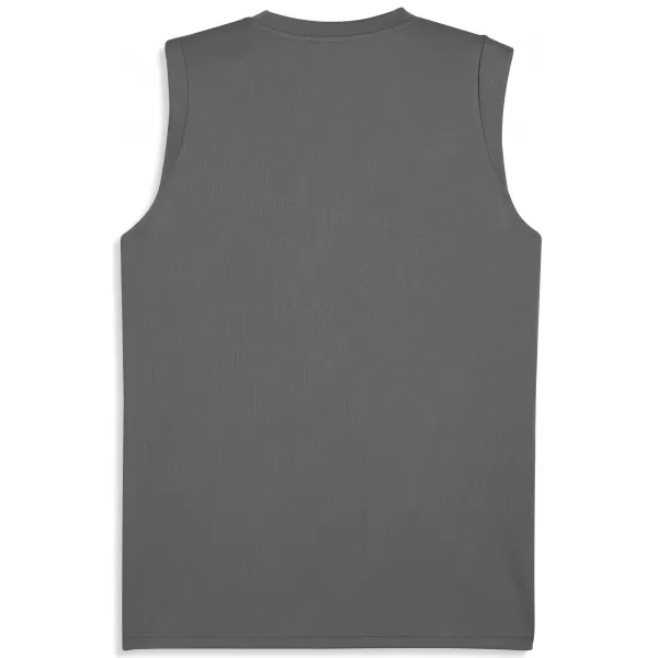  Jersey pentru bărbați PUMA TEAMCUP TRAINING SL JERSEY 659168_13 FLAT MEDIUM GRAY/ SILVER PLAT MEDIU MEDIU/PUMA 