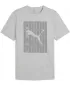 Tricou bărbătesc PUMA GRAPHICS WORDING TEE 684825_04 HEATHER GRI DESCHIS