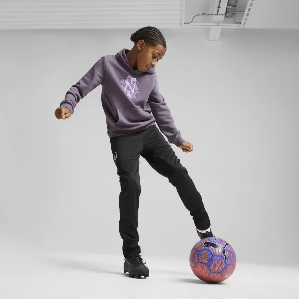  Panouri pentru bebeluși PUMA NEYMAR JR CREATIVITYHOODIEJR 660100_01 CĂRBUNE PURPURIU 