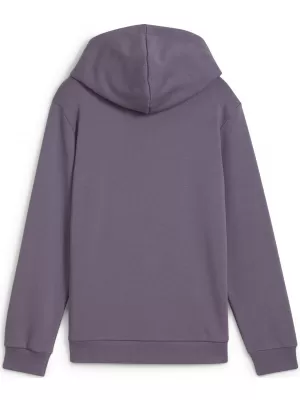 Panouri pentru bebeluși PUMA NEYMAR JR CREATIVITYHOODIEJR 660100_01 CĂRBUNE PURPURIU