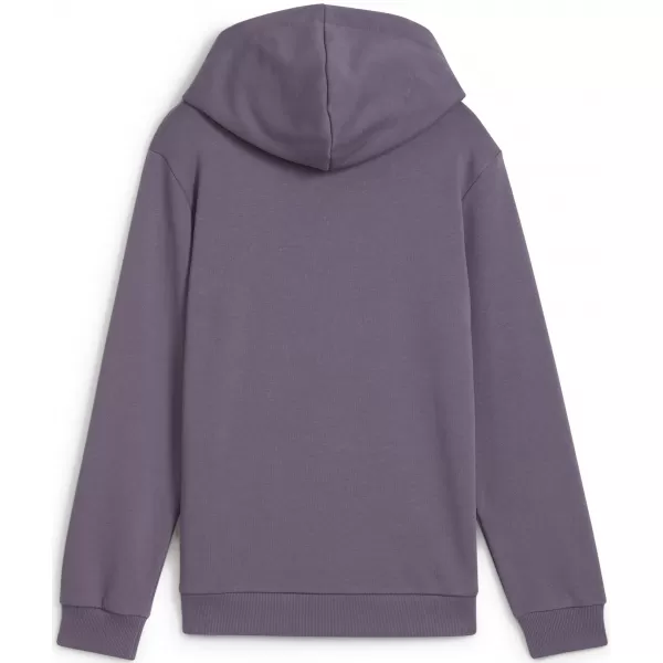  Panouri pentru bebeluși PUMA NEYMAR JR CREATIVITYHOODIEJR 660100_01 CĂRBUNE PURPURIU 