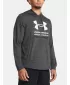 Hanorac pentru bărbați UNDER ARMOUR RIVAL TERRY GRAPHIC HOOD 1386047-025 GRI
