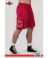 Pantaloni scurți cargo largi spălați LEGACY 787 RED Nebbia