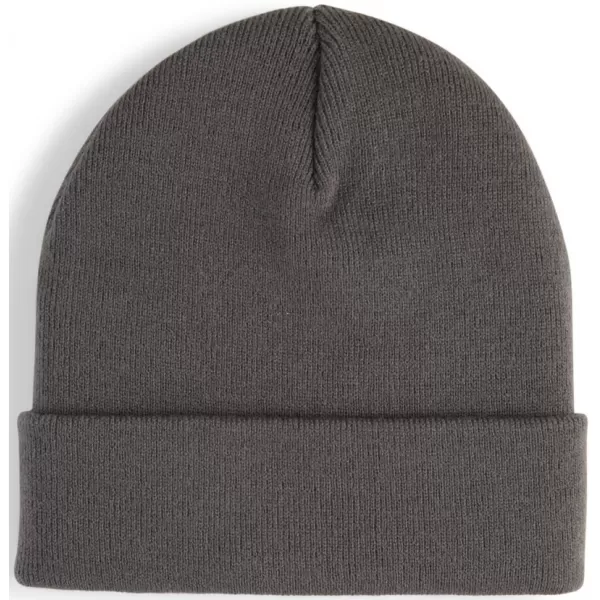  Capac PUMA METAL GRI 