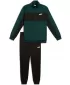 Set pentru bărbați PUMA POLY COLORBLOCK SUIT 687304-75 VERDE