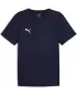 Jersey pentru bărbați PUMA TEAMRISE MATCHDAY JERSEY 706132-06 ALBASTRU
