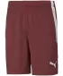 Pantaloni scurţi PUMA TEAMLIGA SHORTS 704924_02 LIMONADĂ ALBASTRĂ ELECTRICĂ