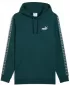 Hanorac pentru bărbați PUMA ESS TAPE HOODIE FL 684675-75 VERDE